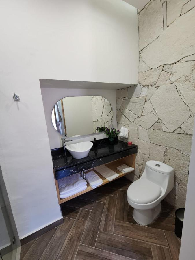 Hotel Ursula Concept Querétaro Dış mekan fotoğraf