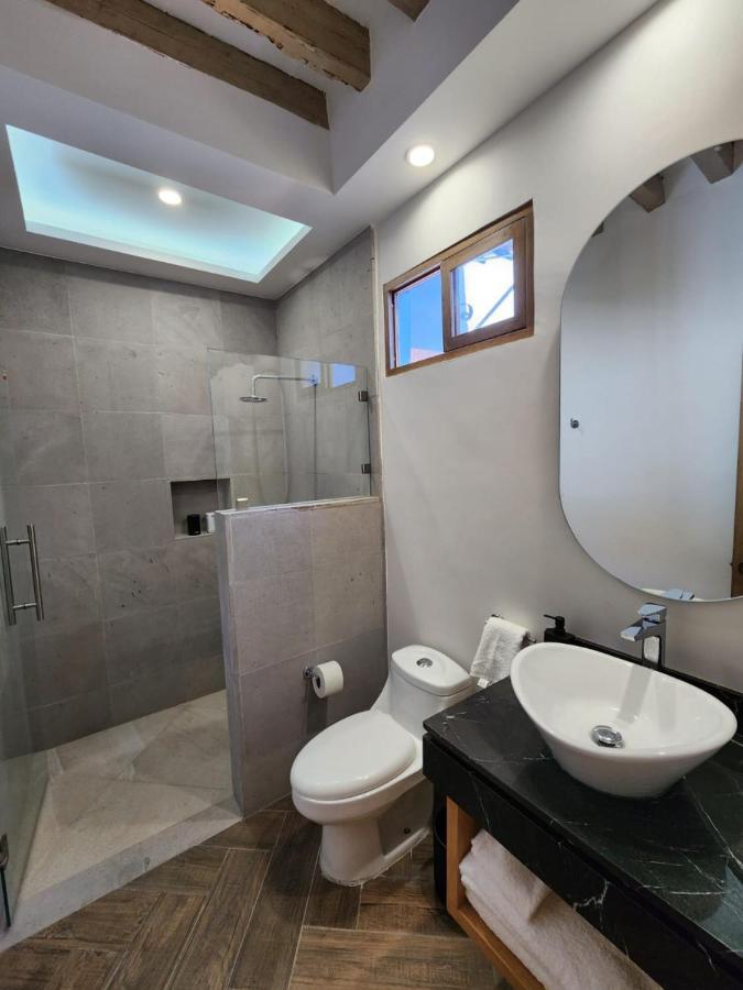 Hotel Ursula Concept Querétaro Dış mekan fotoğraf